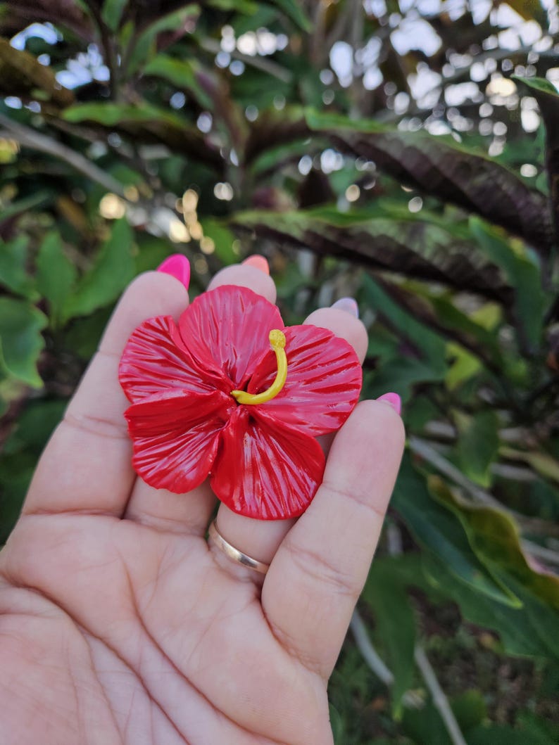 May include: A vibrant red hibiscus flower with a yellow stamen is held in a hand. The flower's petals have detailed veining. The background features green and maroon foliage. The flower is a decorative item.