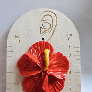 May include: A vibrant red hibiscus flower, with a yellow stamen, is displayed on a wooden measuring tool. The tool has inch and centimeter markings. The flower is approximately 2 inches in diameter.