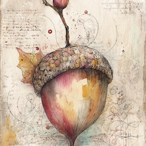 May include: Watercolor illustration of an acorn with a cap and a small stem with a berry. The acorn is painted in shades of pink, yellow, and brown, with a detailed cap and a single leaf. The background is a textured, aged paper with script.