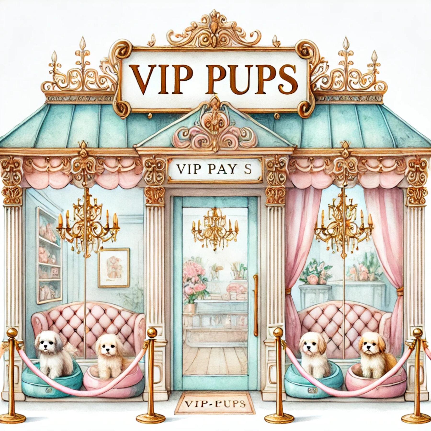 Doggie day care near me