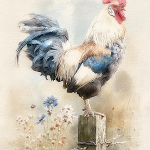 rooster crow, barnyard pride, cottagecore, rustic charm, morning call, country life, fence post, farm rooster, dawn chorus, ephemera