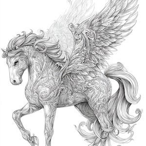 Wingspiral, coloriage Pégase, art de cheval fantastique, impression de cheval ailé, dessin au trait orné de cheval, croquis de cheval mythique, art de cheval détaillé, JPG