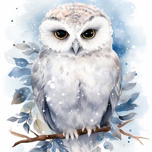 Perchoir enneigé, art harfang des neiges, clipart hibou mignon, art oiseau d'hiver, impression bébé hibou, décor hibou glacial, art chouette givré, hibou aquarelle, scène de neige hibou