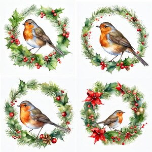 20 cliparts Merle d'hiver mignon - 20 PGNs en téléchargement numérique de haute qualité - fabrication de cartes, techniques mixtes, créations numériques en papier