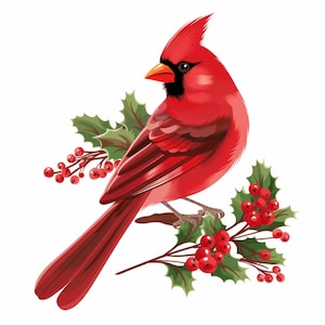 Cardinal rouge, oiseau d'hiver, oiseau de Noël, art des fêtes, clipart cardinal, art oiseau des neiges, oiseau festif, déco oiseau rouge, design cardinal