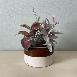 May include: A decorative arrangement of faux plants in a vintage brown and white stoneware crock. The arrangement includes burgundy and green coleus, lavender, and light purple foliage. The crock is cylindrical with a dark brown top and a white base.