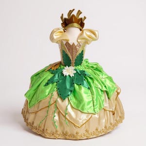 open lace back dress Princess Tiana The Princess and The Frog Floral Brocade Cosplay Costume with Boning / Concealed Zipper