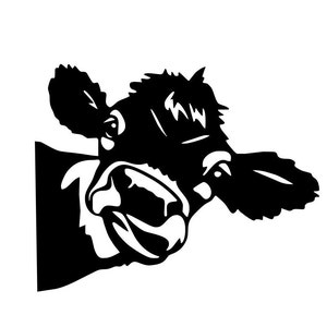 Peeking Cow Heifer Decal * left or right * Car/window Decal * Tumbler Decal * Mug Decal