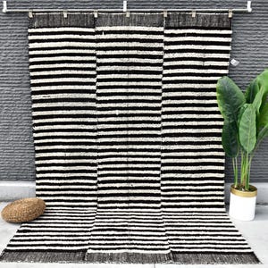 May include: Black and white striped rug with a fringe border. The rug is hanging on a wall with a plant in a white pot in the foreground.