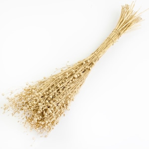 Dried Linum, Flax, Gold, Silver 80g Bunch