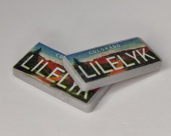 Custom RC License Plates