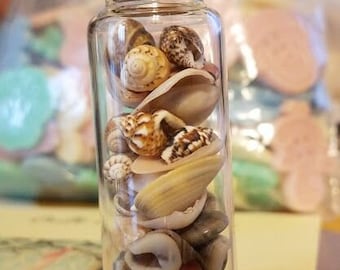 Miniature Corked Bottle With Tiny Shells - Miniature Shells - Craft Shells