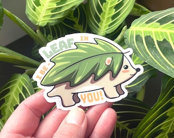 Bonita pegatina de erizo / Creo en ti / Calcomanía motivacional / Regalo para amantes de los animales / Ánimo