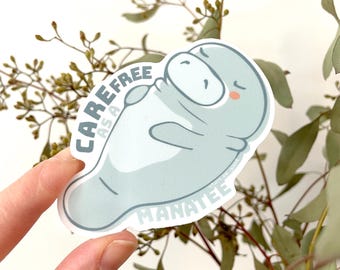 Manatí despreocupado / Vaca marina linda, soñolienta y relajada / Especie en peligro de extinción / Nativo de Florida / Mamífero marino Animal de tendencia