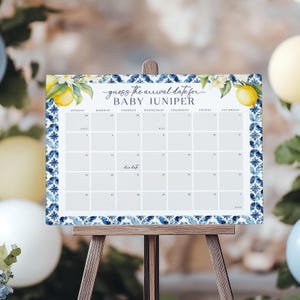 Plantilla de calendario de fecha de parto para baby shower, letrero de limón para baby shower, letrero para adivinar la fecha de nacimiento del bebé, juego de baby shower Amalfi, calendario de fecha de parto, B6