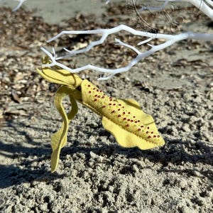 Yellow Squid Sewing Pattern PDF – Felt Ocean Ornament DIY