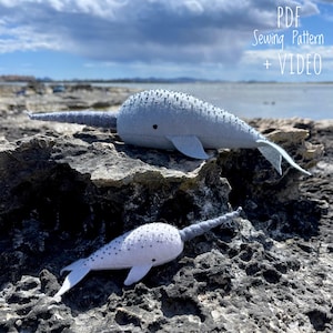 May include: Two felt narwhal toys on a rocky surface. The larger narwhal is light blue with a dark blue horn and black eyes. The smaller narwhal is white with a dark blue horn and black eyes. The background is a blurry image of a beach and ocean.