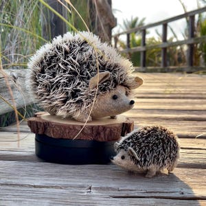Patrón de costura de erizos: Familia de peluches de tamaño real (PDF + Videotutorial)