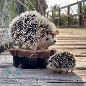 Hedgehog Sewing Pattern: Life-Size Plush Family DIY (PDF + Video Tutorial)