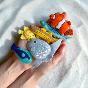 May include: A selection of handmade felt fish toys in various colours, including orange, blue, and yellow. The fish are of different sizes and shapes, and are held in a person's hands.