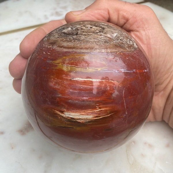 96MM/2.7LBS Vivid Red, Petrified Wood, Petrified Wood Sphere, Red Petrified, Fossilized Wood, Polished, Large Petrified Wood, Fossil, Sphere