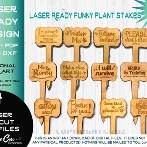 Conception drôle d'enjeux d'usine d'humour d'adulte | Fichier découpé et gravé prêt au laser | Eau de jardin Glowforge, bouquet Me You Grow Girl Me So Thorny