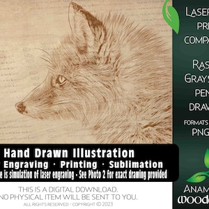 Fox Hand Drawn Illustration | Grayscale Raster PNG laser engraving Print Sublimation red Fox pencil drawing animal winter fox fur woodland