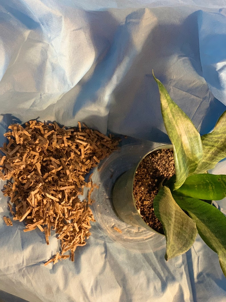 Shredded Brown Cardboard 3 Lbs, Compost, Rat, Guinea Pigs, Rabbits