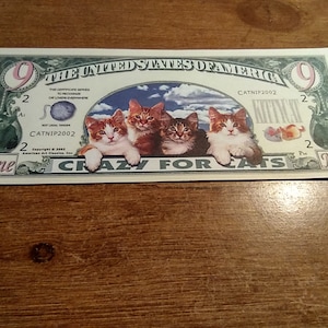 CRAZY FOR CATS, 9 dollar novelty bill (not real) Sleeved. Free Ship.