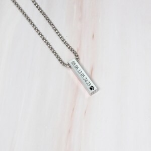 May include: Silver chain necklace with a silver bar pendant engraved with the date "08.06.12-05.24.23" and a paw print.