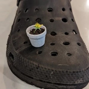 Può includere: Un piccolo vaso bianco con un fiore giallo che cresce al suo interno, posto sopra una scarpa di gomma nera.