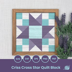 May include: A framed quilt block with a criss-cross star design. The star is purple and the background is white with light blue squares.