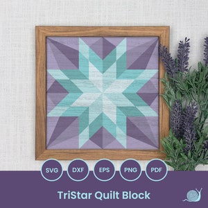 Pode incluir: Um bloco de colcha emoldurado com um design de estrela roxo e turquesa. O bloco de colcha está em uma moldura de madeira e está sobre um fundo branco texturizado. O texto "TriStar Quilt Block" está abaixo da imagem.