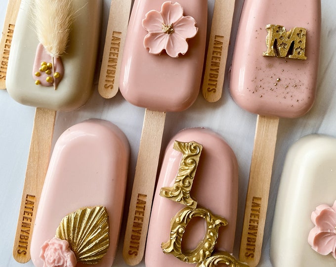 Birthday Cakesicles Dessert Table Treats for Anniversary Gourmet Treats