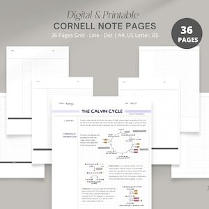 Op de afbeelding: Digitale en printbare Cornell-notitiepagina's. De afbeelding toont 36 pagina's met raster-, lijn- en stipformaten in A4-, US Letter- en B5-formaten. Eén pagina heeft de titel "THE CALVIN CYCLE" met een diagram.