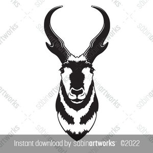 Pronghorn Head Illustration, JPG SVG EPS Antelope Head, Instant Download, Buck Pronghorn Drawing