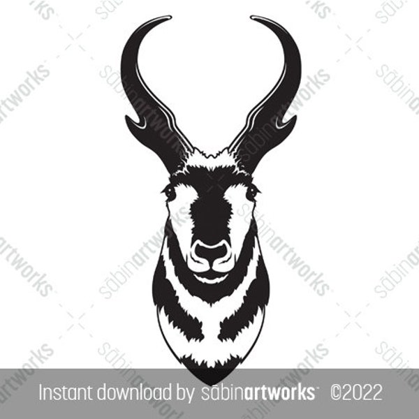 Pronghorn Head Illustration, SVG JPG EPS Antelope Head, Instant Download, Buck Pronghorn Drawing