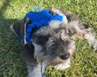 Blueberry Dog Hat - Crochet Blueberry Hat - Dog Blueberry Costume