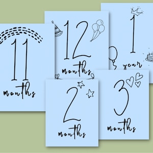 Baby Monthly Milestones Photo Prop Cards