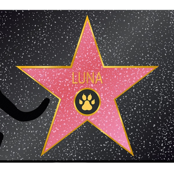 VIP Fußmatte für Katzen Liebhaber Personalisiert Pfoten Walk of Fame Catlover Hauskatze Wohnungskatze Spitzname