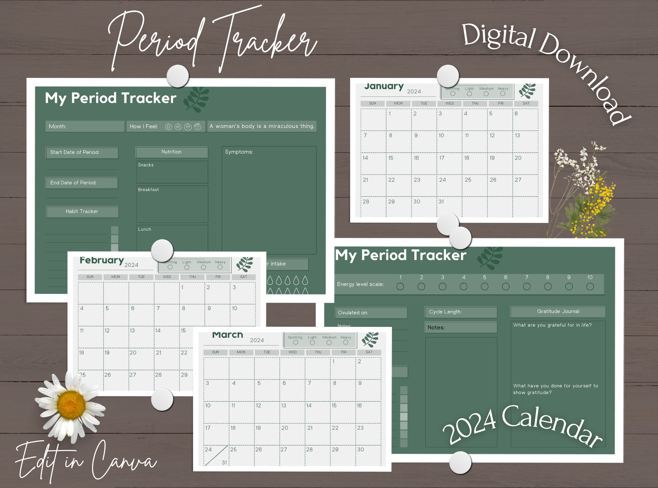 Period Tracker Printable | Period Calendar | Period Calendar 2024 ...