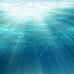 Twitch Profile Banner Underwater, Under the Sea Twitch Banner, Ocean Twitch Background, Twitch Profile Background, Pretty Twitch Banner