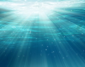 Twitch Profile Banner Underwater, Under the Sea Twitch Banner, Ocean Twitch Background, Twitch Profile Background, Pretty Twitch Banner