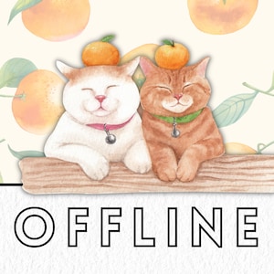 Cute Cat Offline Twitch Profile Banner, Funny Cat Twitch Overlay, Livestream Channel Profile Banner, Twitch Offline Banner