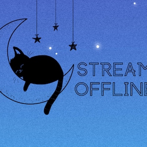 Twitch Offline Screen Black Cat Night Sky, Stream is Offline, Cute Twitch Background, Moon Night Sky Twitch Screen, Cute Cat Twitch Banner