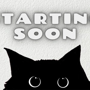 Twitch Starting Soon Screen Black Cat, Cute Cat Twitch Background, Twitch Starting Soon Screen, Twitch Streamer Profile