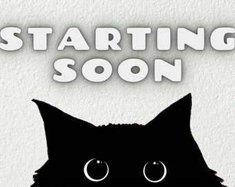 Twitch Starting Soon Screen Black Cat, Cute Cat Twitch Background, Twitch Starting Soon Screen, Twitch Streamer Profile