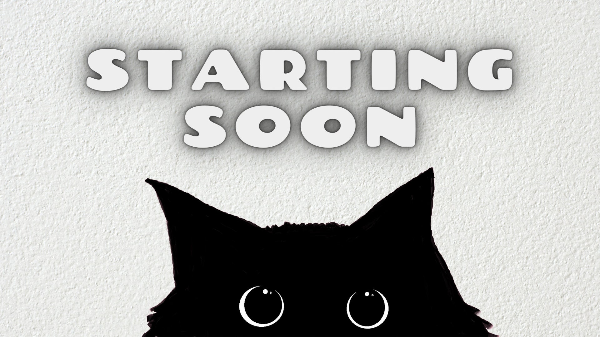 Twitch Starting Soon Screen Black Cat, Cute Cat Twitch Background