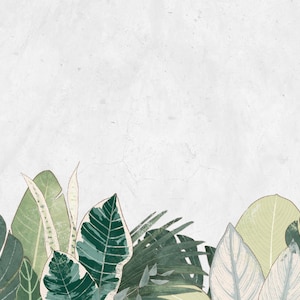 Twitch Profil Banner Botanisches Natur Motiv, Monstera Plant Twitch Hintergrund, Twitch Profil Hintergrund, Ästhetischer Twitch Banner
