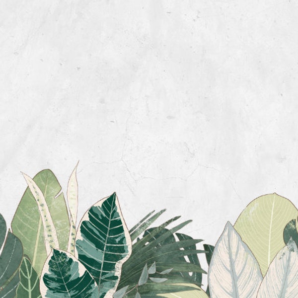 Twitch Profile Banner Botanical Nature Theme, Monstera Plant Twitch Background, Twitch Profile Background, Aesthetic Twitch Banner